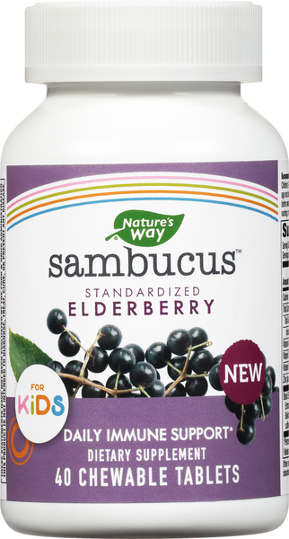 Nature's Way Sambucus Standardized Elderberry Kids Daily Immune Support Dietary Supplement - 40 Count