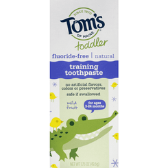 Tom's Of Maine Fluoride-free Natural Training Toothpaste Mild Fruit - 1.75 Ounce