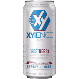 Xyience Frostberry Blast Energy Drink - 16 Ounce